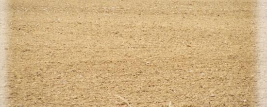 une année, un champ