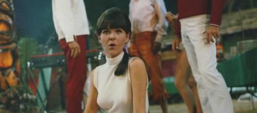 photo shelley fabares in clambake - Mr Bruce banner -ELVIS .Will Hutchins 