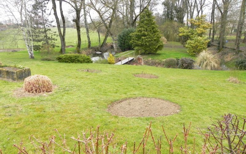 Un beau jardin comme j'aimerai !