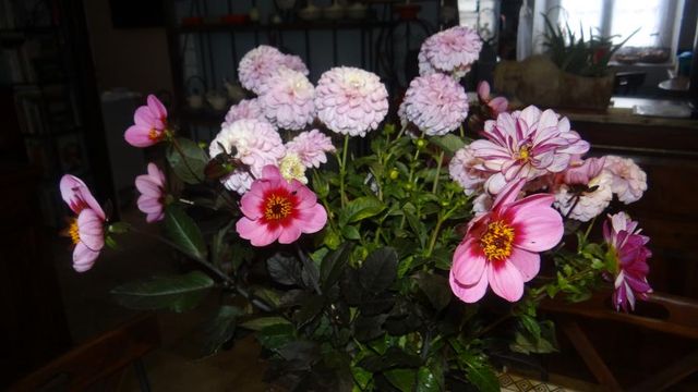 Les Fleurs de la Fin de Semaine