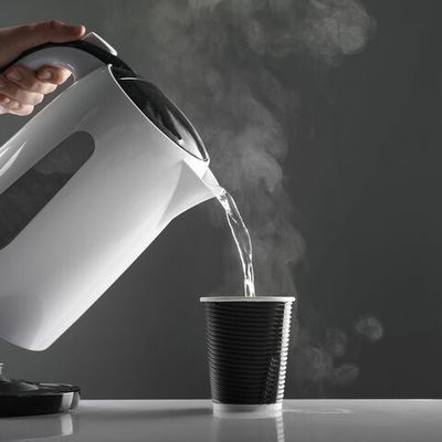 Les petits chercheurs