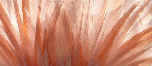 PLUMES ROSES 
