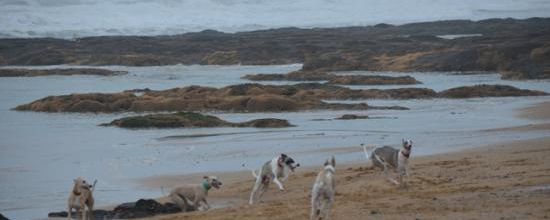 La petite troupe à la plage!