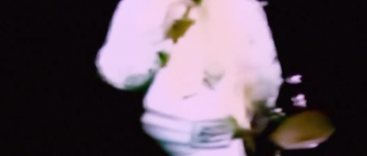 Elvis Presley- Mystery Train / Tiger Man