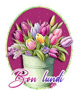 Jour de la semaine TULIPE