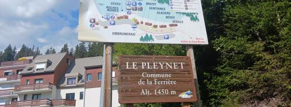 Le Pleynet