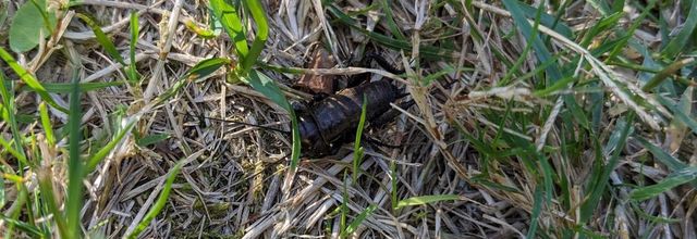 photos plaisir en Septembre