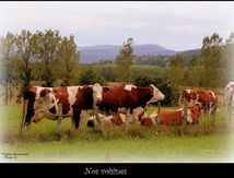 Nos voisines #1