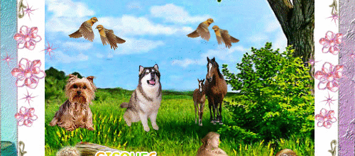 CADRE ANIMAUX ENFANTS PLEIN AIR