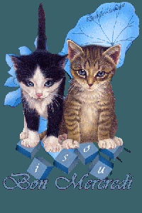 CONVERSATION AVEC MON CHAT !