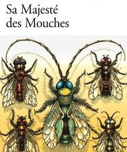 Online Read Ebook Sa majesté des mouches