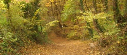Le vallon