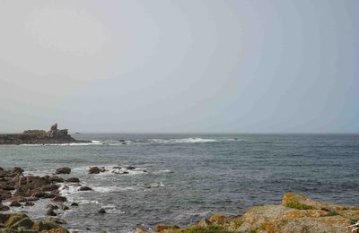 29 ... (et plus) : Un reportage un peu ... vague !