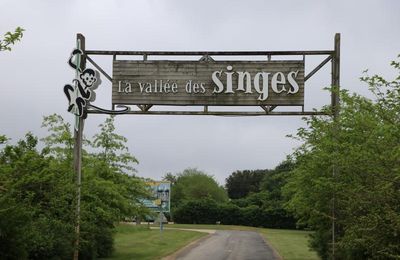 LA VALLÉE DES SINGES (1/3)