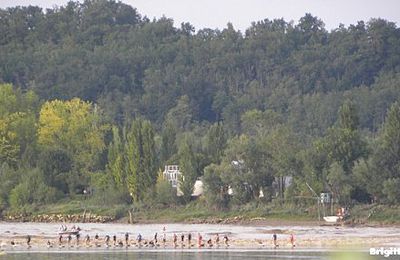 Le mascaret, spectacle offert par la nature...