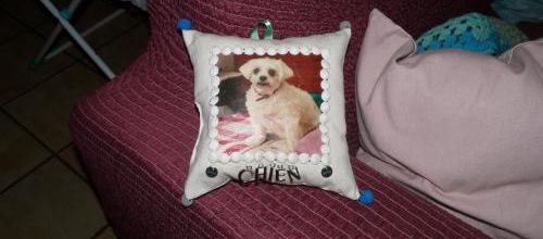 Un coussin d'amitié et cartes reçue