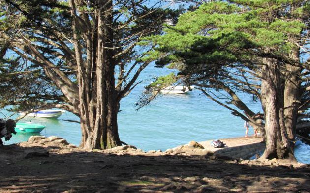  Abécédaire de la Sagesse  : Un environement...