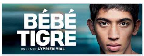 Jeu-concours Bébé Tigre
