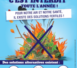 Peut-on brûler des déchets verts dans son jardin ?