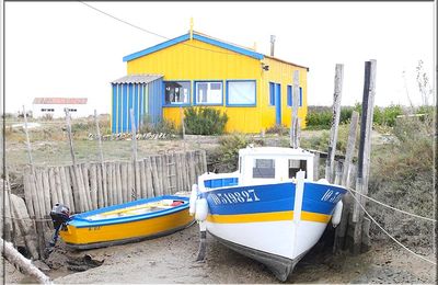 827 -  L'île d'Oléron, Charente Maritime (17) (St Pierre et les cabanes de pêcheurs)