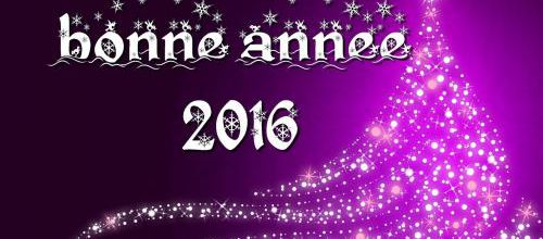 Bonne année 2016