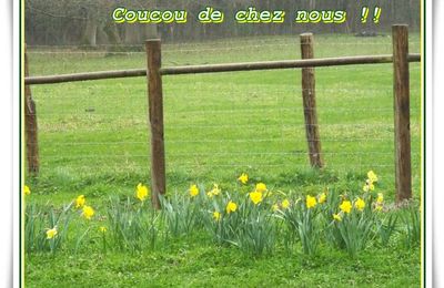 Elle s'active ...