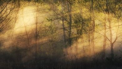 Entre photographie et poésie ... 