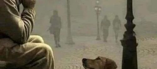 Aujourd'hui j'ai adopté un humain...