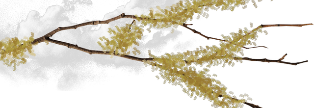 Ѽ Vegetation 