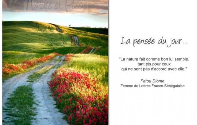 La nature...