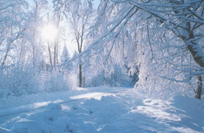 Soleil dans la neige