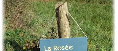 Pépinière La Rosée  La Malnoë