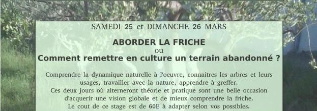 Les stages du printemps