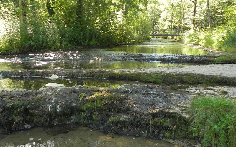 photos du Hérisson dans le Jura