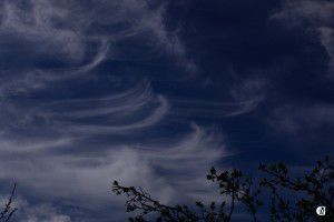 Cirrus Uncinus