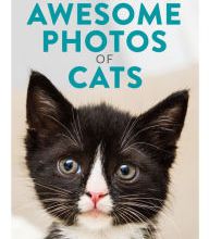 [download pdf] How to Take Awesome Photos of Cats