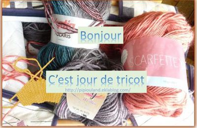 L'avancée de mon pull avec Dane