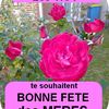BONNE FETE  DES MERES
