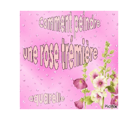 Dessin et peinture - vidéo 4524 : Comment peindre une rose trémière avec 2 couleurs ? - aquarelle.