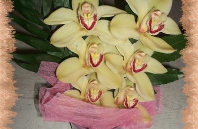 Orchidée pour la fête des mères