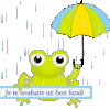 semaine pluvieuse (grenouille)