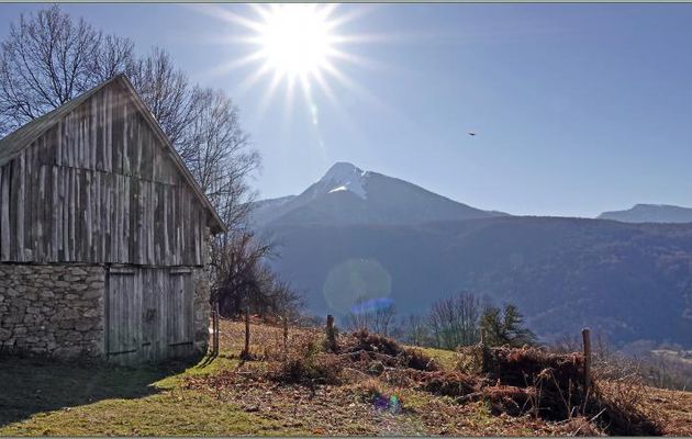 Les massifs du Cagire et en arrière plan du Gar par un beau soleil d'hiver - Vue de la route du Col de Las Parets - Milhas - 31