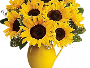 tubes vases de fleurs