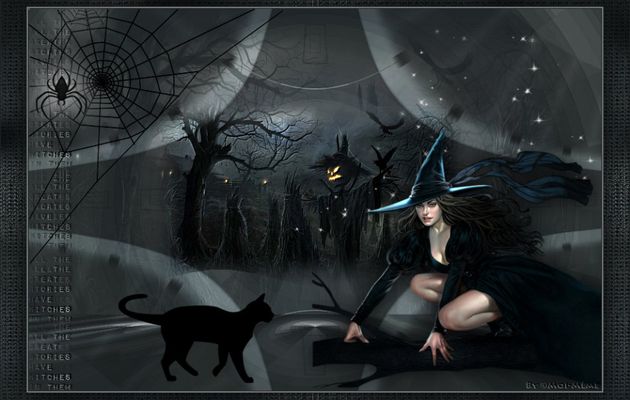 Histoires de sorcières