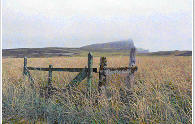 Animation gif : le portail qui ouvre sur rien... - New Island - Falkland Islands, Iles Malouines, Islas Malvinas