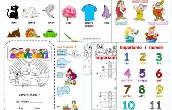 I colori