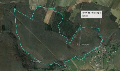 "Piron de Printemps" - Mercredi 24 février 2021