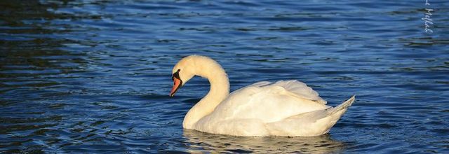 Les photos du weekend : au Lac Daumesnil