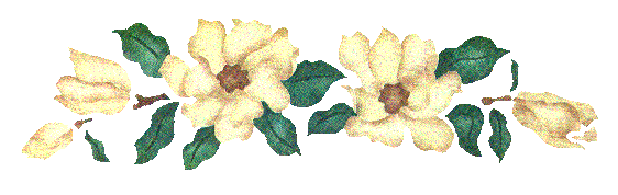 ✿*ﾟYellow flowers