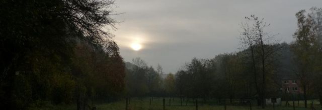 Quelques pas dans la fraîcheur du matin